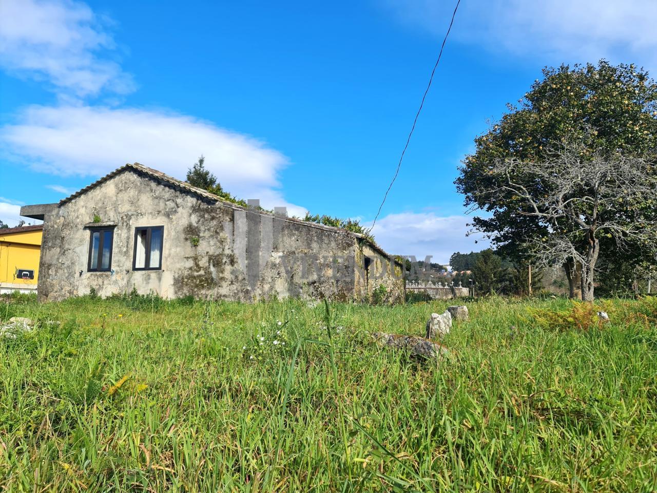 CONTACTO CON LA NATURALEZA...