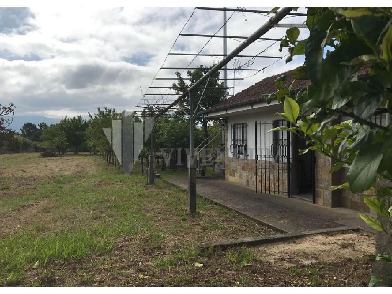 VENTA SOLAR EDIFICABLE DE 2450M2 ZONA CURRAS-TOMIÑO