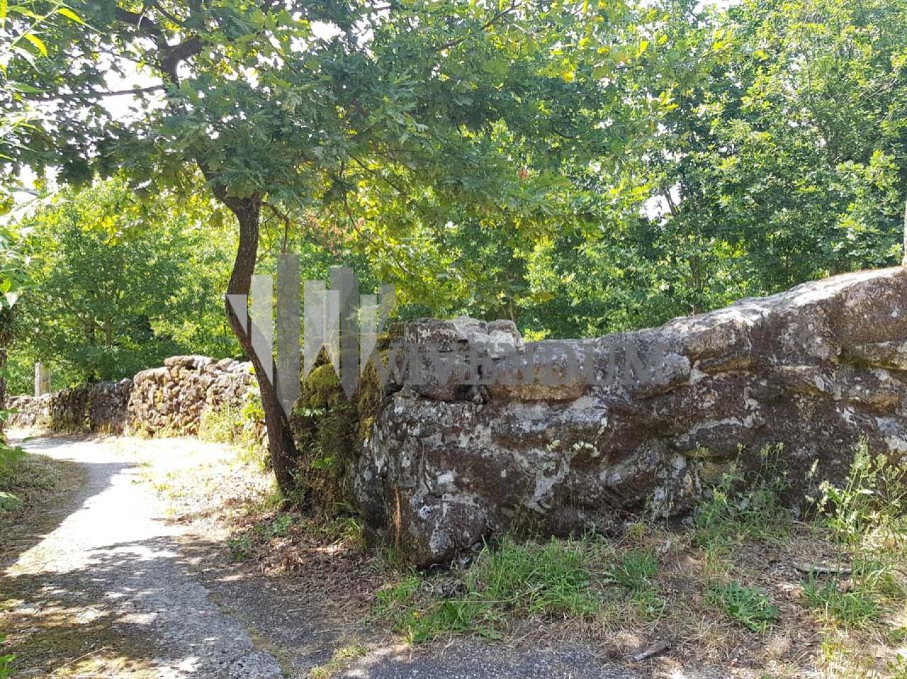 Venta - Lama (A) - S000400