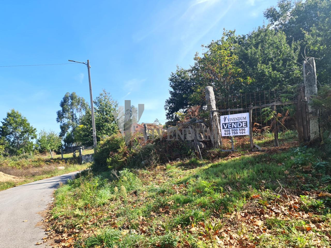 Venta - Neves (As) - S000430