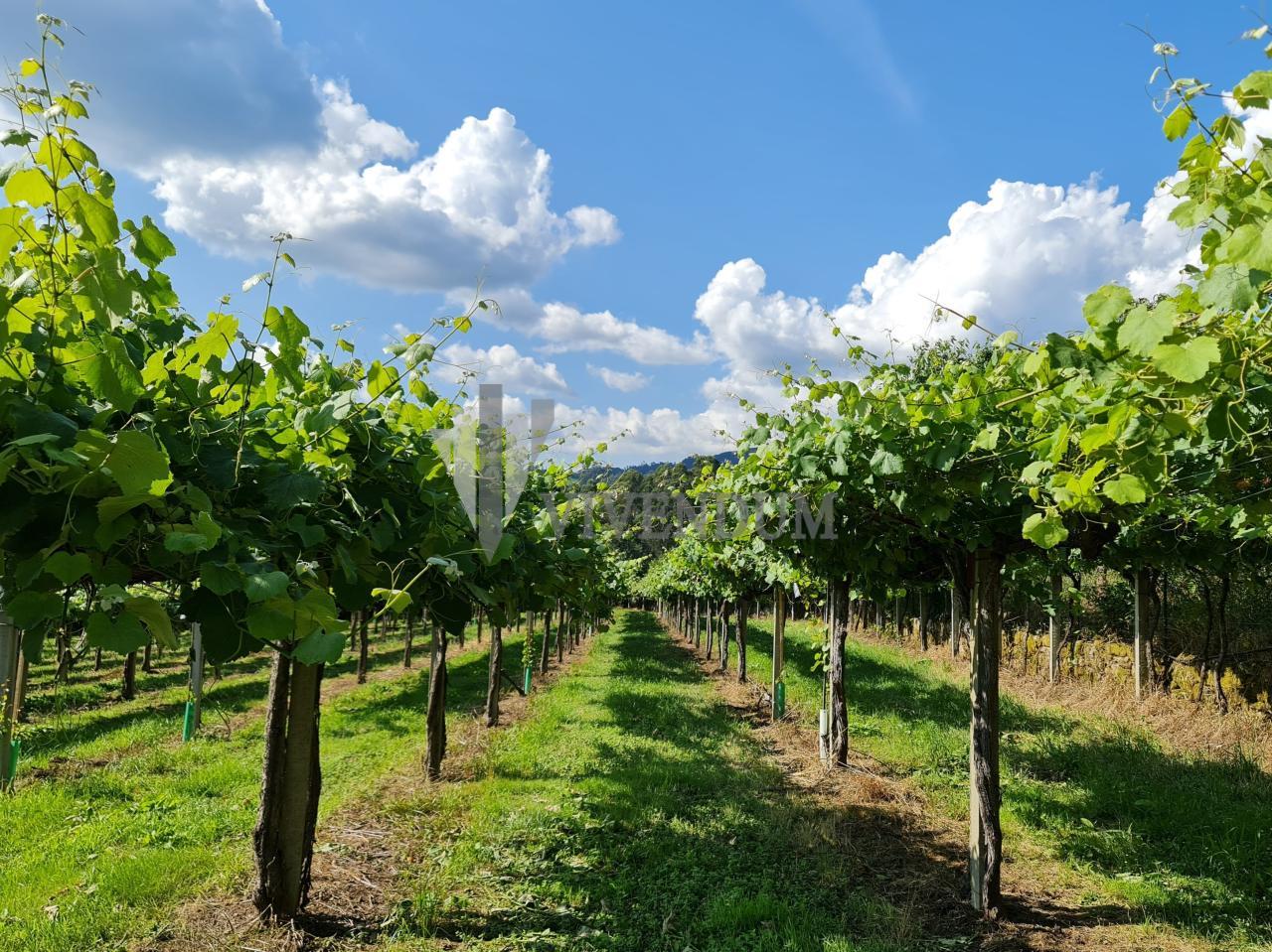 PRODUCCION DE ALBAÑILERIA