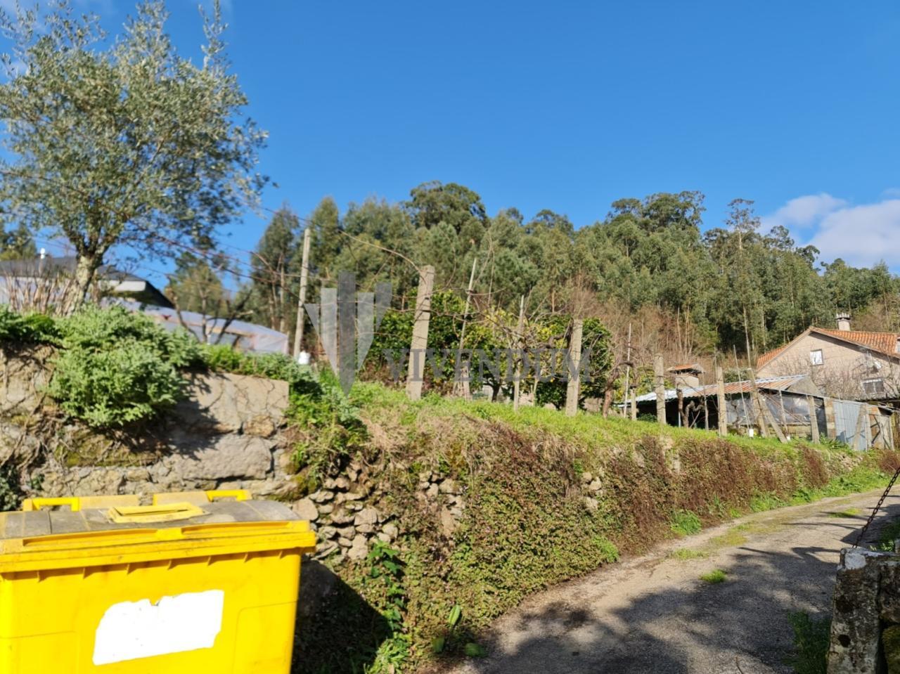 Venta - Cañiza (A) - S000435